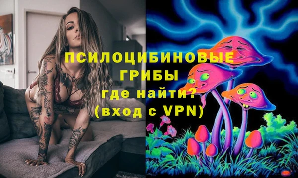 ECSTASY Пестово