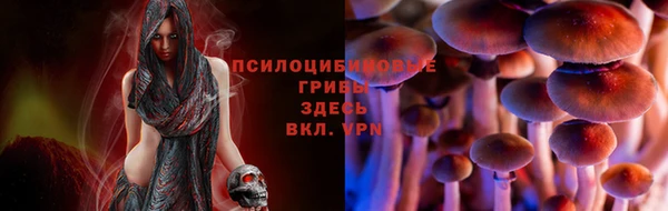 a pvp Осинники
