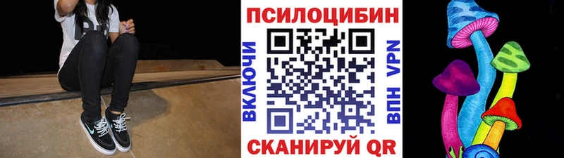 Галлюциногенные грибы Psilocybine cubensis  дарк нет какой сайт  Игра  закладки 